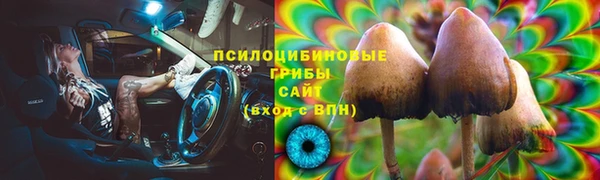 2c-b Богородицк