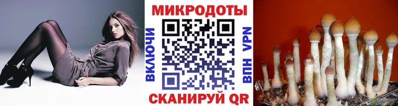 Галлюциногенные грибы Psilocybine cubensis  как найти наркотики  нарко площадка состав  Арамиль  МЕГА ссылки 