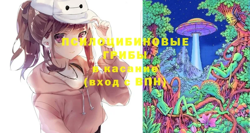 omg сайт  цены   Арамиль  Галлюциногенные грибы Magic Shrooms 